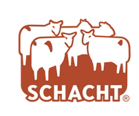 Schacht Zoom Loom